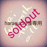 haraguchi様専用