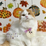 💜👻おばけポシェット👻🧡