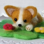 コーギーちゃん　春のひなたぼっこ てんとう虫