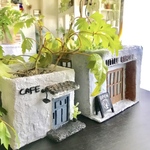 【cat様専用】CAFEとLITTLE GARDENの鉢カバー&観葉植物（ドラセナ・グレープアイビー）