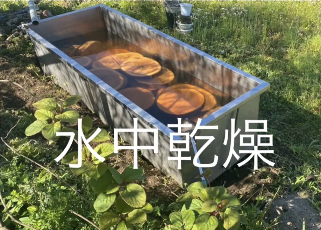 ケヤキ 欅 輪切り 一枚板 ローテーブル サイドテーブル ちゃぶ台