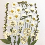 白いお花のセット