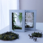 箱庭フレーム The entrance to the forest