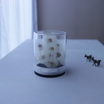 Botanical glassdome たんぽぽ filled