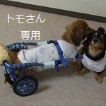 唐草模様柄タンク　2枚