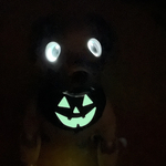 光るハロウィンスタイ(リバーシブル)
