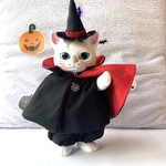 こはるちゃん用　ハロウィンセットアップ　ドラキュラ？マント　帽子付き　