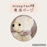 misagitan様専用