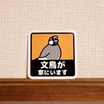文鳥が家にいますステッカー【桜文鳥】