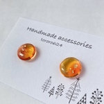 ツヤツヤ秋色イヤリング　ピアス
