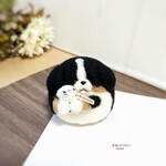 ダルメシアンのぬいぐるみを買ったバーニーズ