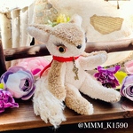 【再販】幸せ妖精Pamela(パメラ)ラスト1匹