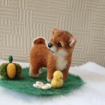 小柴わんこ…ちょぴりハロウィン…羊毛フェルト