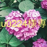 kuu0224様専用　No.39 親指2本分　ラウンドショート