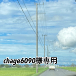 chage6090様専用