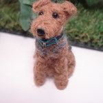 犬 riyo-6198様ご注文品  エアデールテリア　