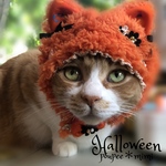 ハロウィン🎃オレンジ🍊猫ちゃんに変身！！