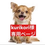 専用ページ