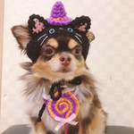 再再販❣️犬用＆猫用 黒猫帽子🐈‍⬛💕 ＆ぺろぺろキャンディポシェット  ハロウィン
