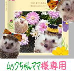 ムックちゃんママ様ご予約分　くるみフォトブック