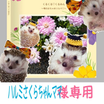 ハルミさくらちゃんママ様ご予約分　くるみフォトブック