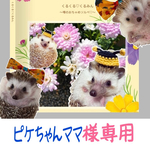ピケちゃんママ様ご予約分　くるみフォトブック
