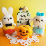 ハッピーハロウィン☆不思議の国のアリスうさちゃんセット