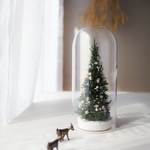 Botanical glassdome  Christmas Tree green
