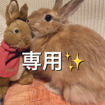 専用✨