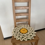 デイジーのざぶとん(花びら白×芯黄緑)