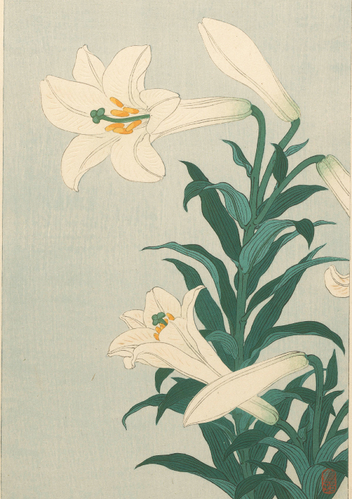 NO.248】百合の花の日本画アートポスター☆浮世絵和柄絵画