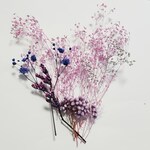 ドライフラワー、アソート(ドリーム)