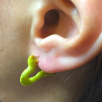 耳に住まうむしのピアス(受注生産)