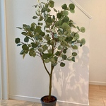 10月3日発送　ユーカリ　フェイクグリーン125cm　人工観葉植物 