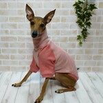 イタグレ服ハイネックトップス〈ヒッコリー・レッド〉