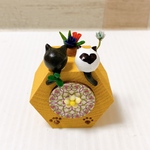 neko 黄色