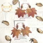 🍁本物もみじとビーズのピアス🍁 もみじ 紅葉 ニッケルフリーフックピアス 秋 レトロ アシンメトリー イヤリング パーツ変更 期間限定 ビーズ