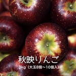 富山県産 秋映 ３ｋｇ