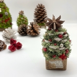 ちいさくて可愛い♡松ぼっくり♡クリスマスマスミニツリー　A