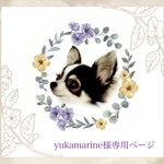 チビくまマフラー５点