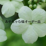 あやちゃむ様オーダー品