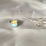 小鳥のピンキーリング（セキセイインコ：黄・青）