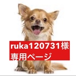 専用ページ