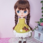 ブライス☆アウトフィット☆わんちゃんワンピ