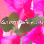 leo031755様専用ページ.｡.:*♡