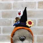 カボチャに変身🎃HalloWeen帽子　👻🍪