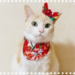 送料無料☆彡和風カチューシャ〜猫のカチューシャ