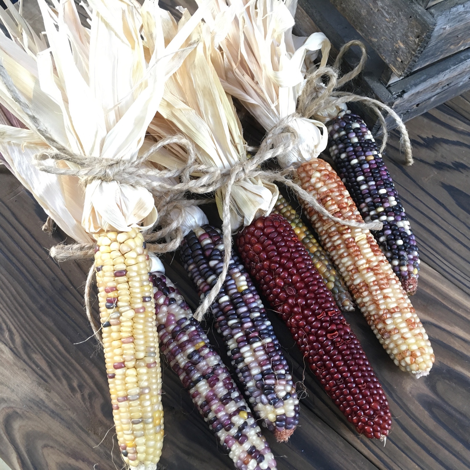 グラスジェムコーン ドライ - Flower artisanあとりえkei