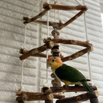 ⌘ 吊り下げ型止まり木🐥 ⌘（18㎝サイズ版）