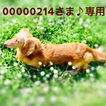 00000214さま♪専用